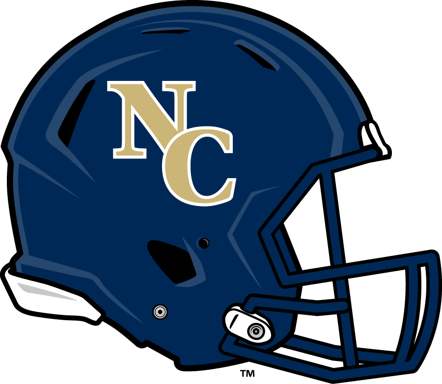 Northern Colorado Bears 2014 Helmet Logo v2 diy DTF decal sticker